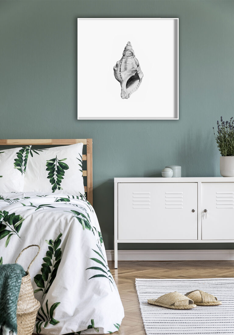 Monochrome Muschelillustration