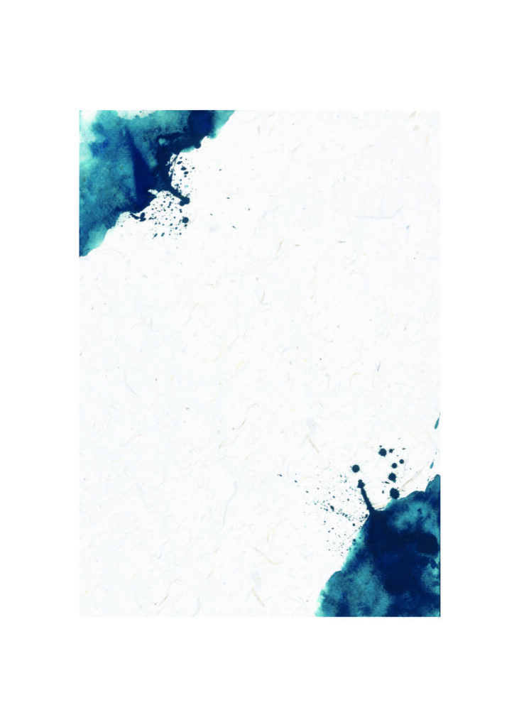 ECCO 5