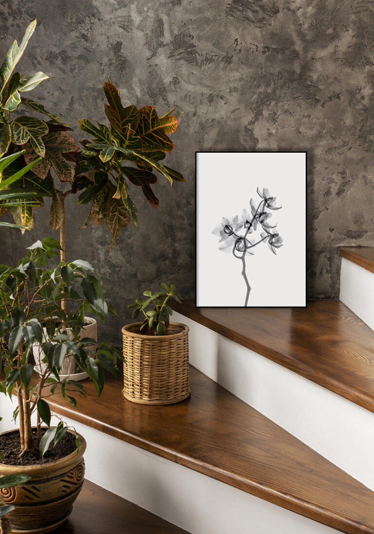 Elegantes botanisches Werk in Monochrom