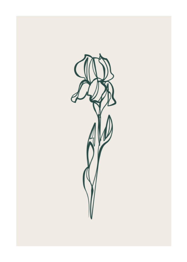 Minimalistische florale Linienskizze