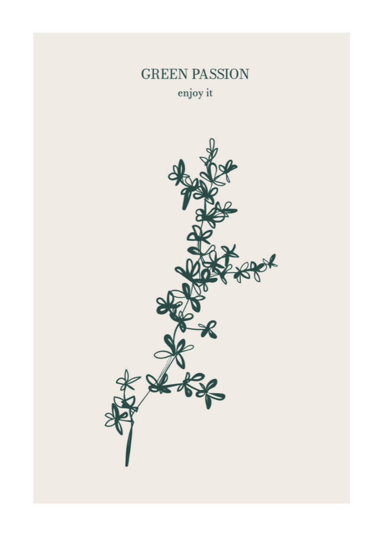 Minimalistische Naturillustration in monochromen Tönen