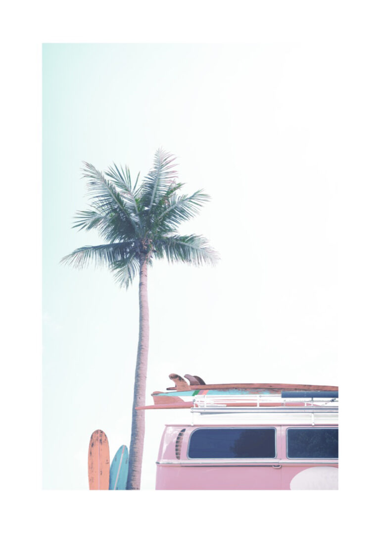 Surfer-Van neben einer Palme