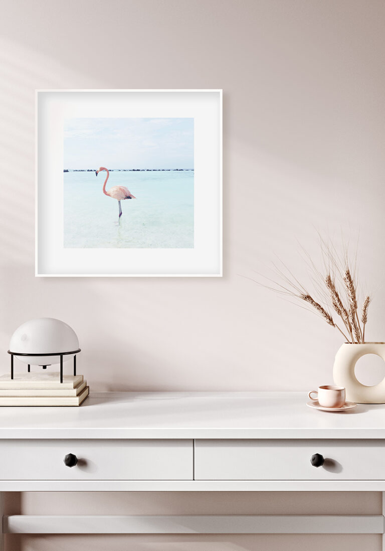 Anmutiger Flamingo in ruhigem Wasser