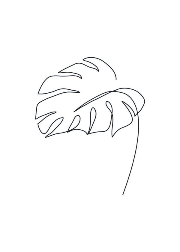 Minimalistische Linienzeichnung eines Monstera-Blatts
