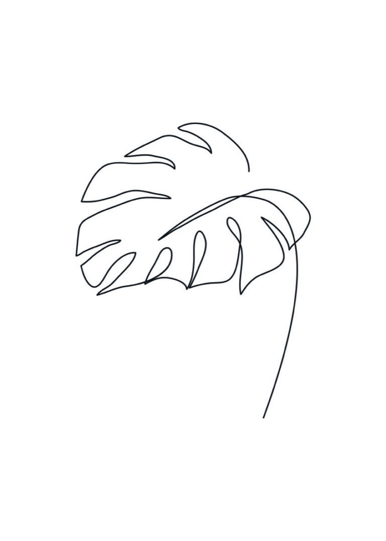 Minimalistische Linienzeichnung eines Monstera-Blatts