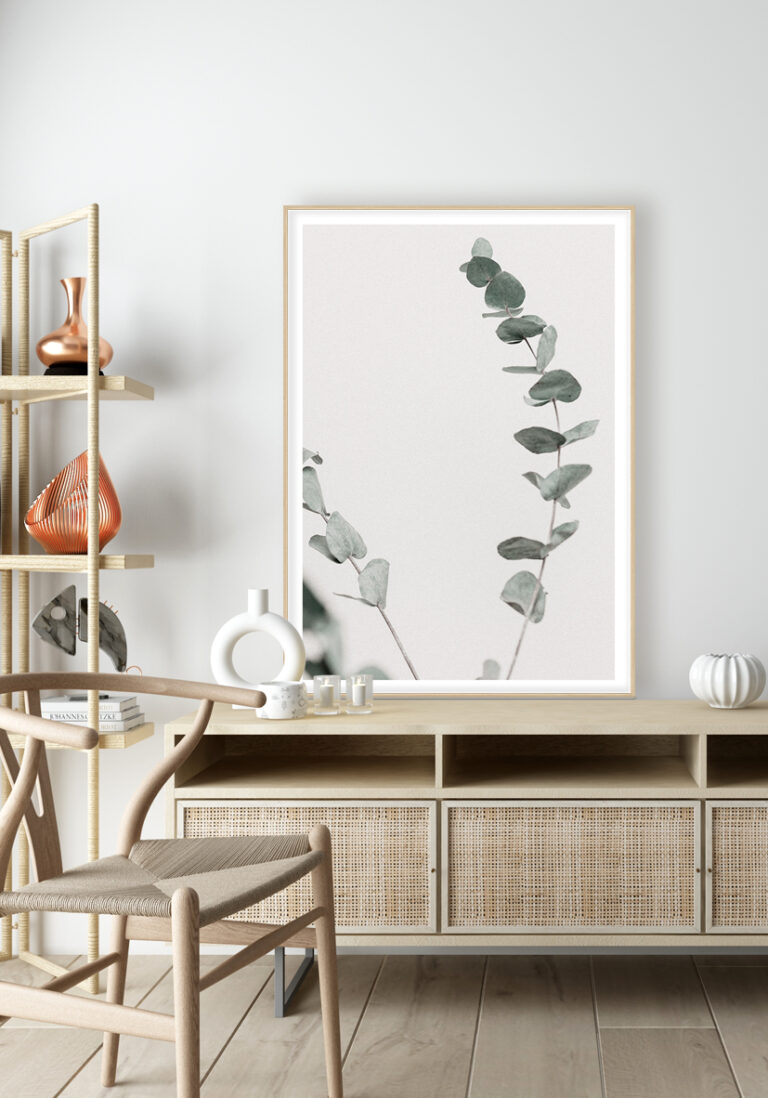Schlichte botanische Illustration von Eukalyptus