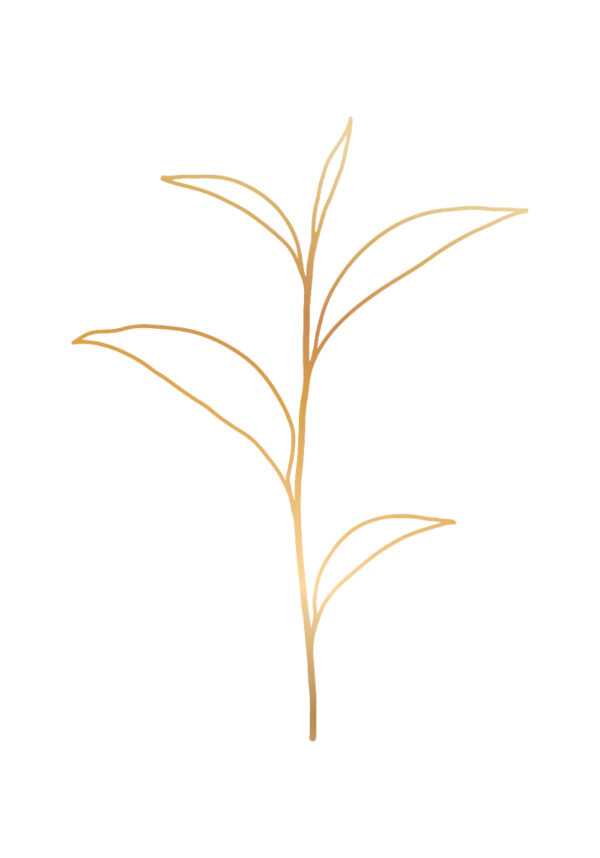 Minimalistische Illustration eines goldenen Blatts