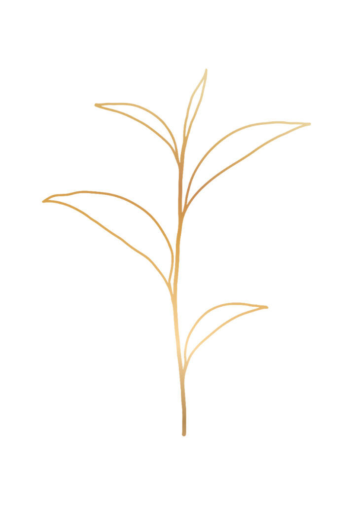 FLOURISH 9