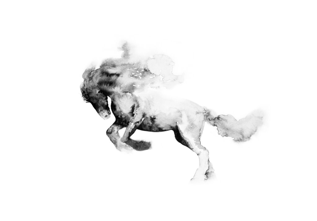 GALLOP 3