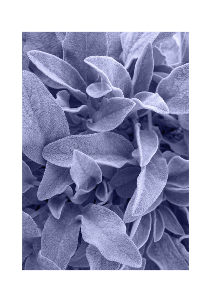 MINERAL 4