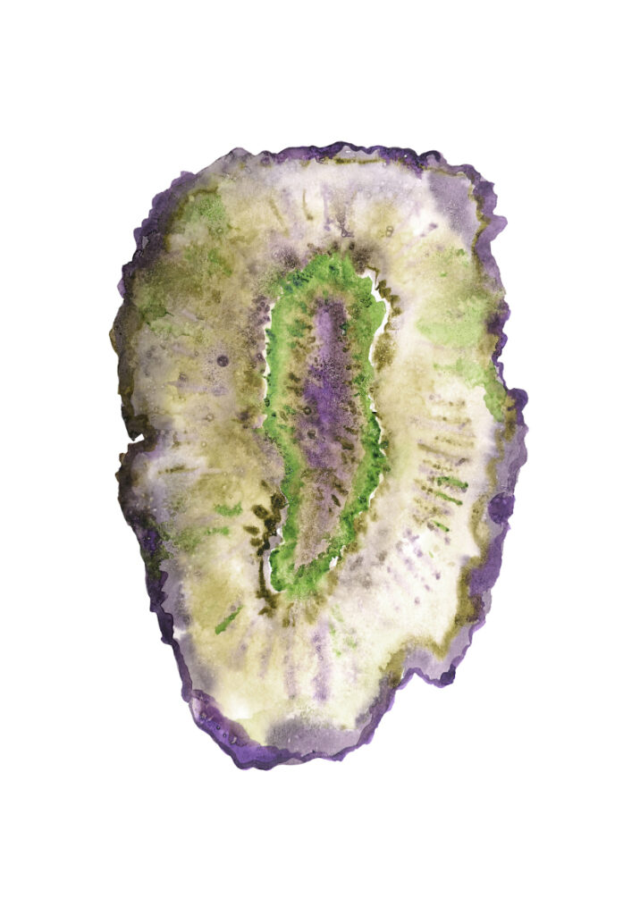 MINERAL 6