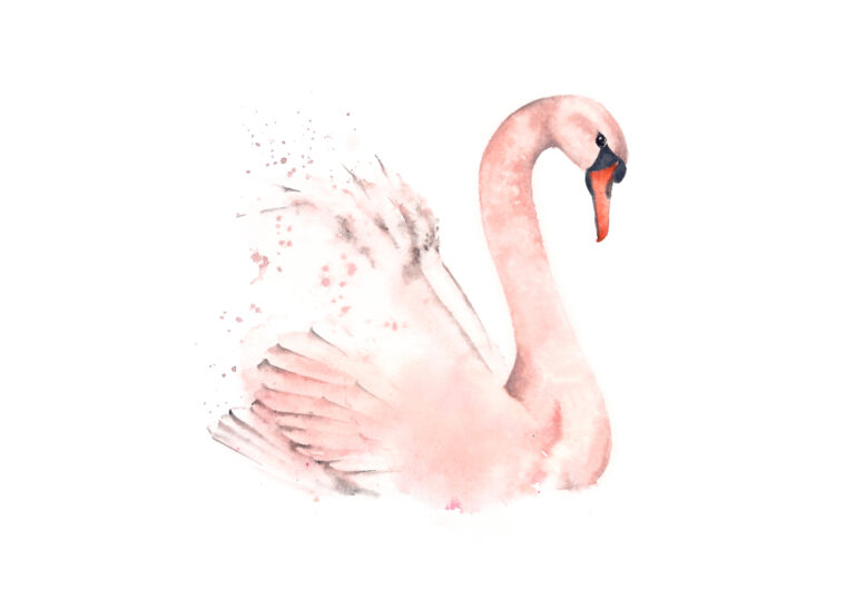 Elegante Aquarellillustration eines Schwans