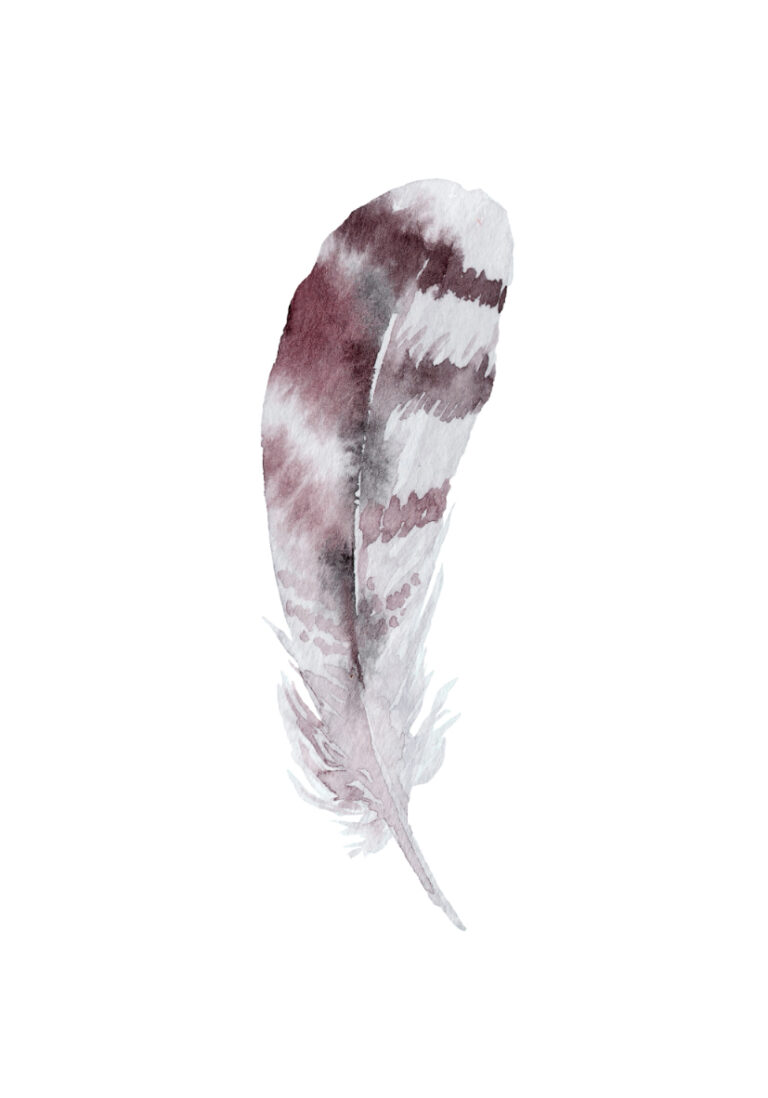 Elegantes Aquarell einer Feder