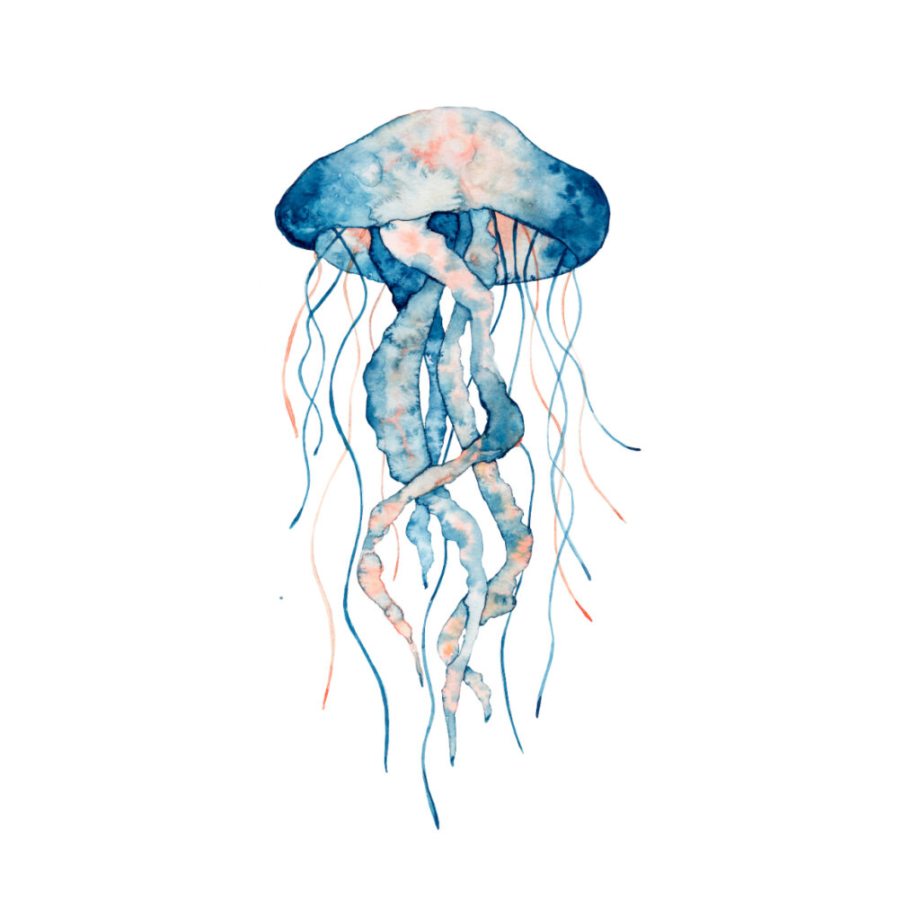 PROFUNDIS 1