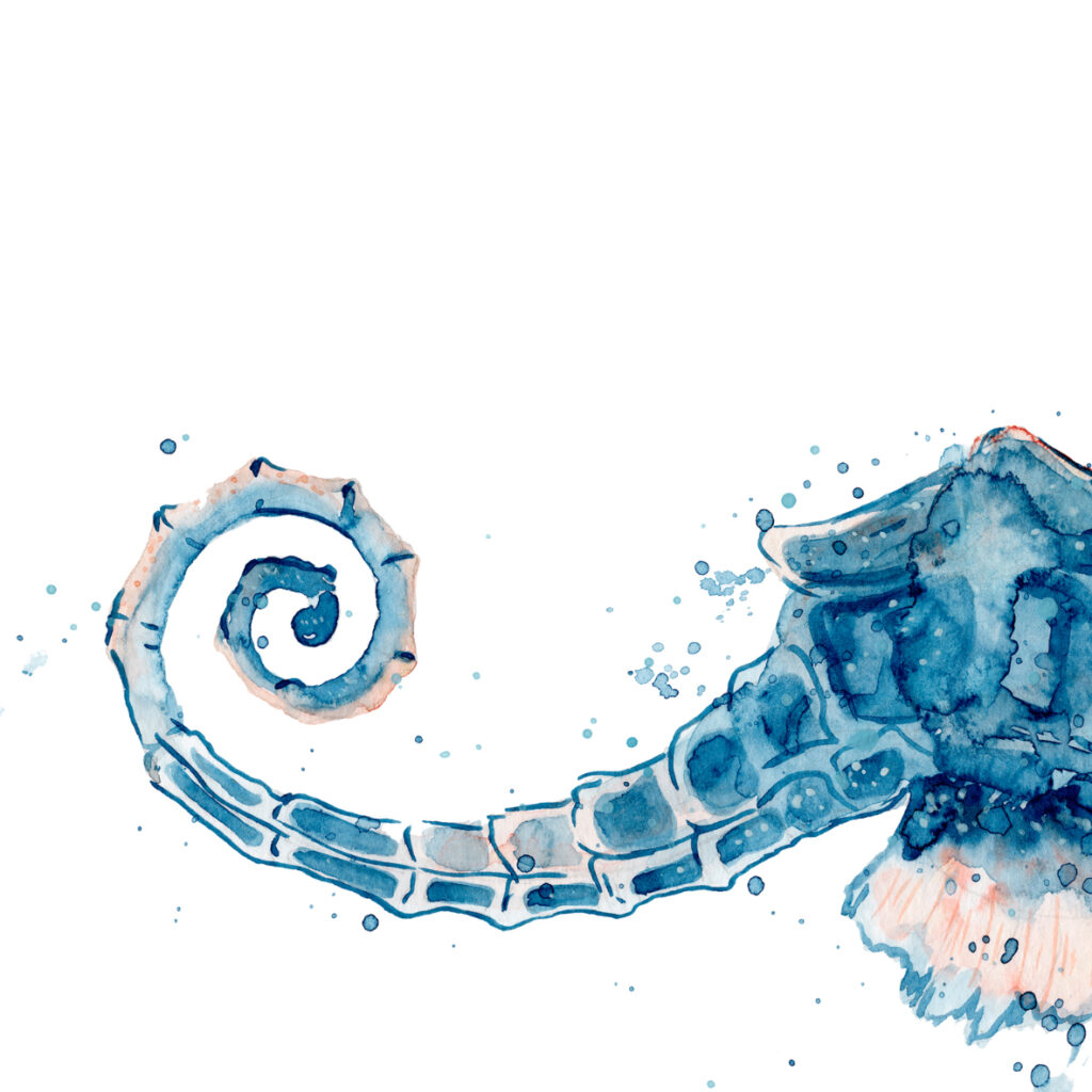 PROFUNDIS 4