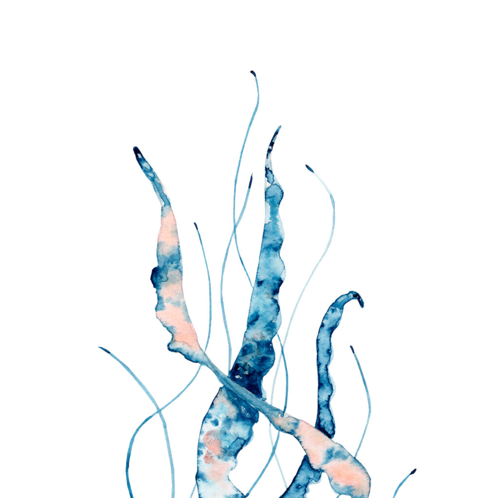 PROFUNDIS 6