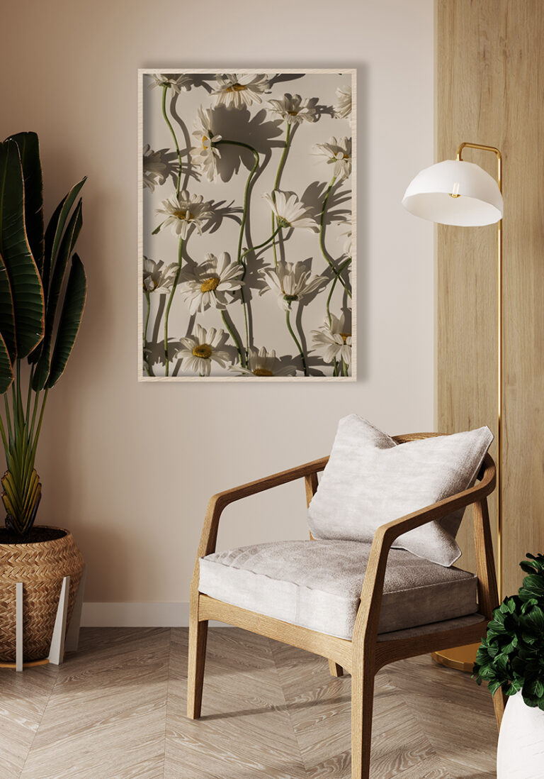 Elegante Margeriten mit feinen Schatten