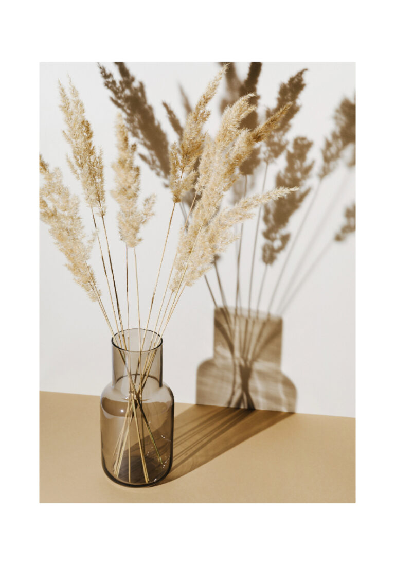 Minimalistische Glasvase mit Pampasgras