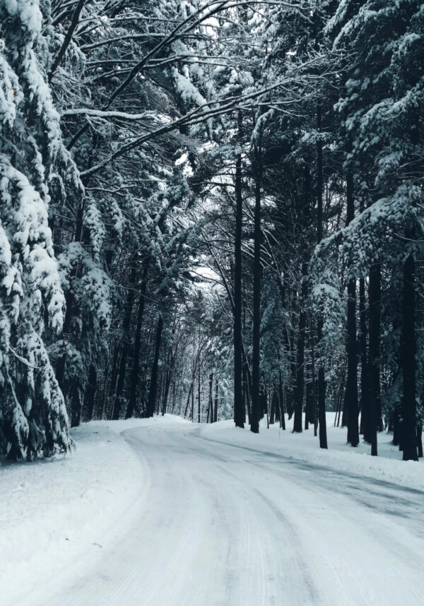 Verschneiter Waldweg im Winter