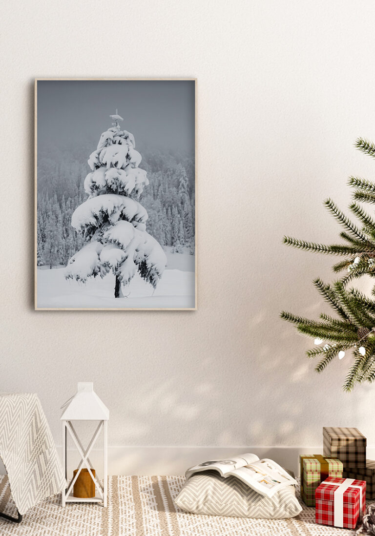 Schneebedeckter Baum in Winterlandschaft