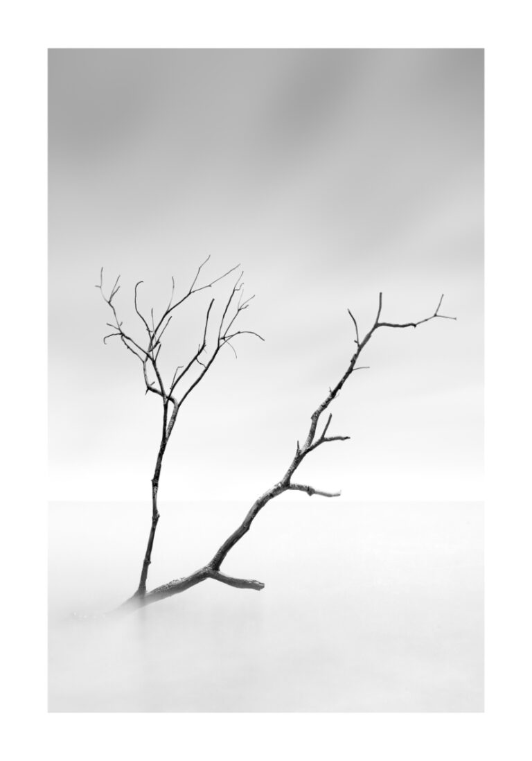 Minimalistische monochrome Kunst mit Ast