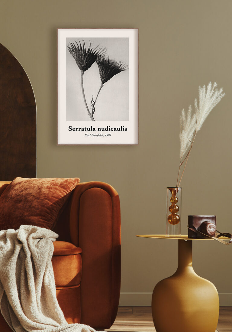 Botanisches Kunstobjekt von Blossfeldt