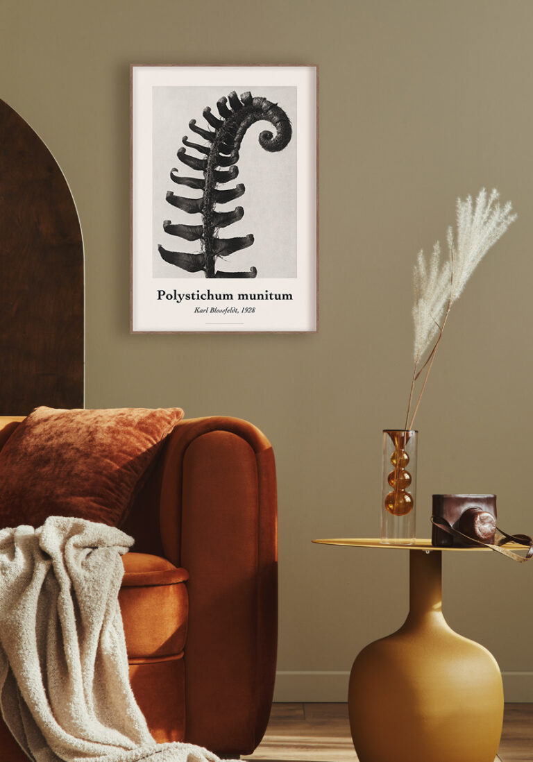 Monochromes botanisches Werk – Farndetail
