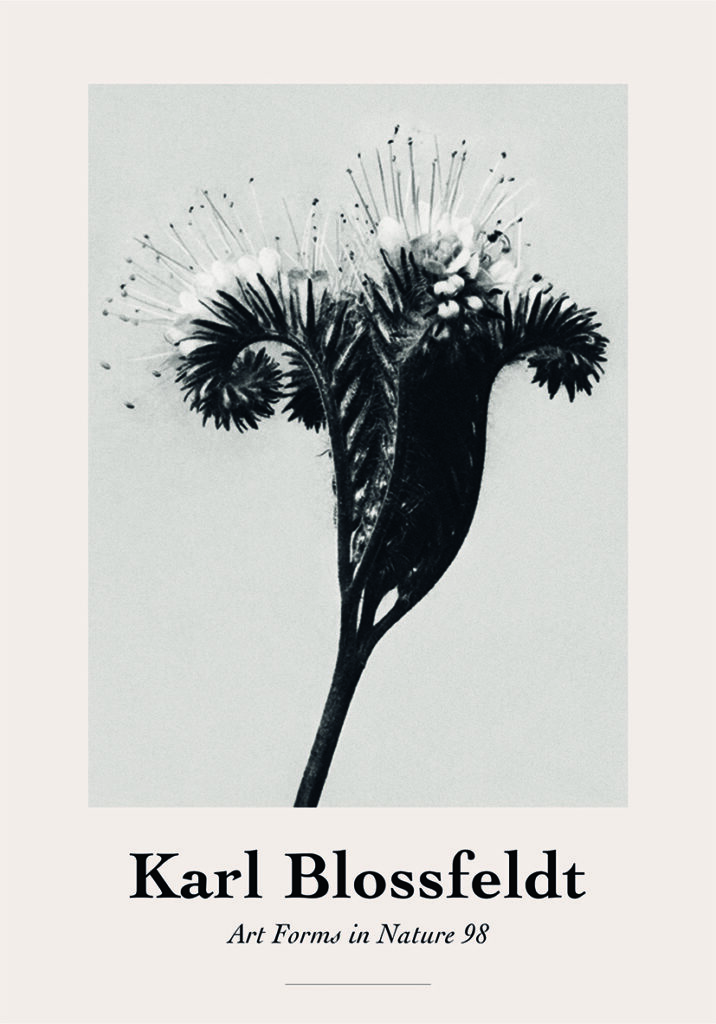 KARL 4