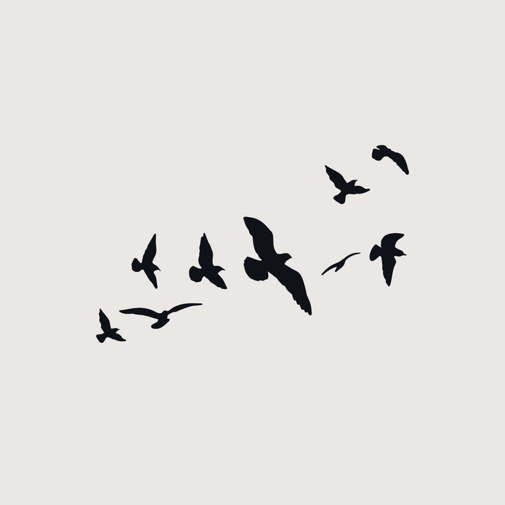 Minimalistische Illustration fliegender Vögel