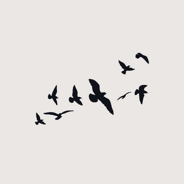 Minimalistische Illustration fliegender Vögel