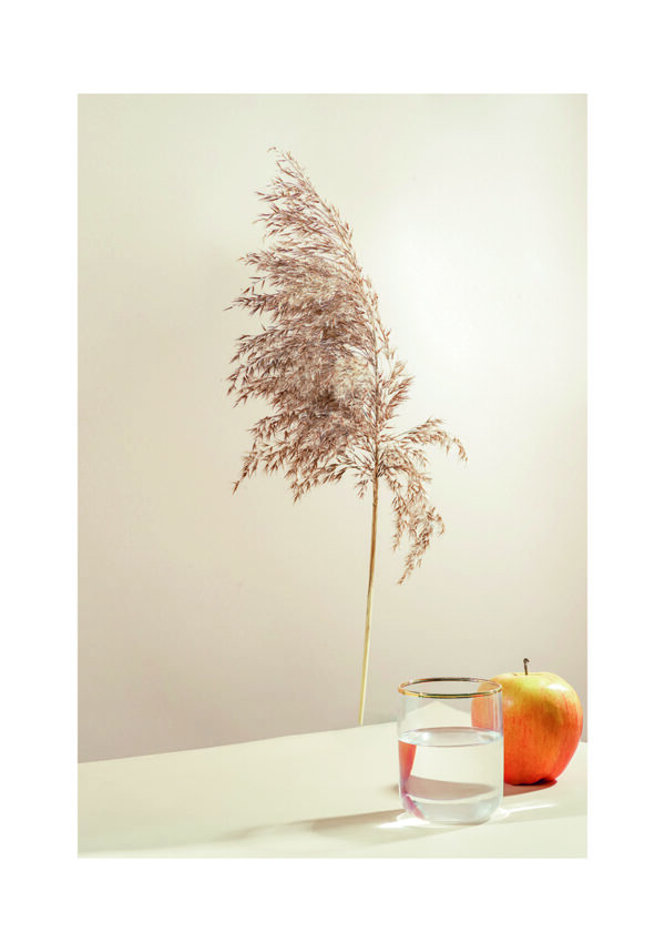 Minimalistisches Stillleben mit Apfel