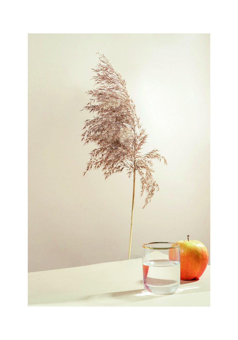 Minimalistisches Stillleben mit Apfel