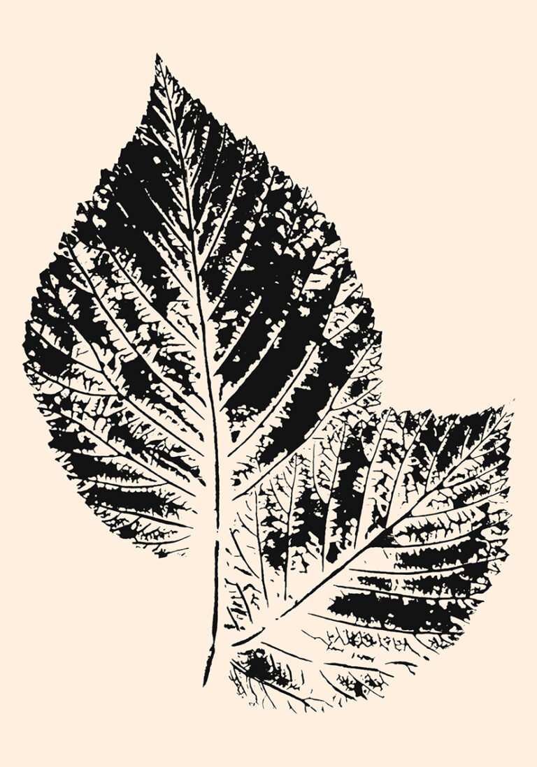 Naturinspirierte botanische Tuscheillustration
