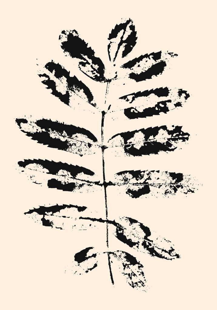 KALC 2