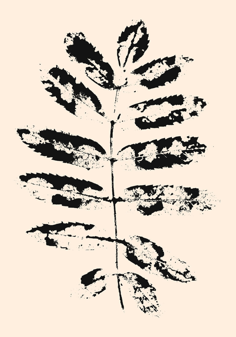 Minimalistischer botanischer Druck
