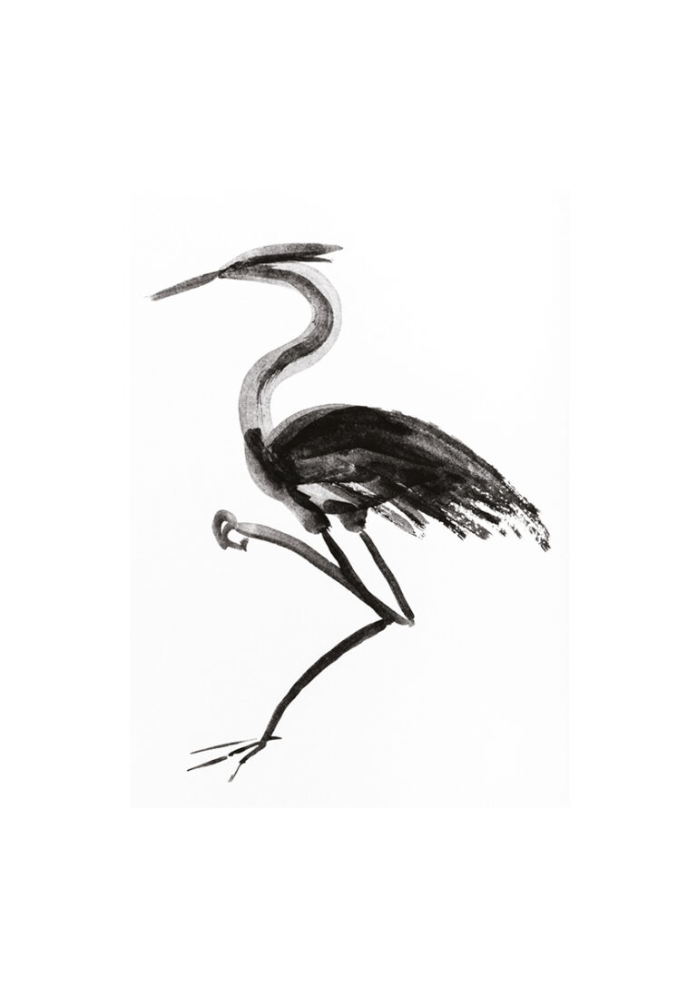 Elegante Tuscheillustration eines Reihers