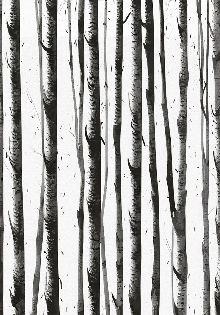 Minimalistischer Birkenwald in Monochrom