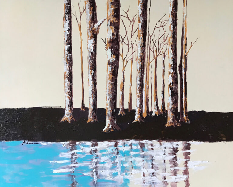 Birken mit Spiegelung im Wasser