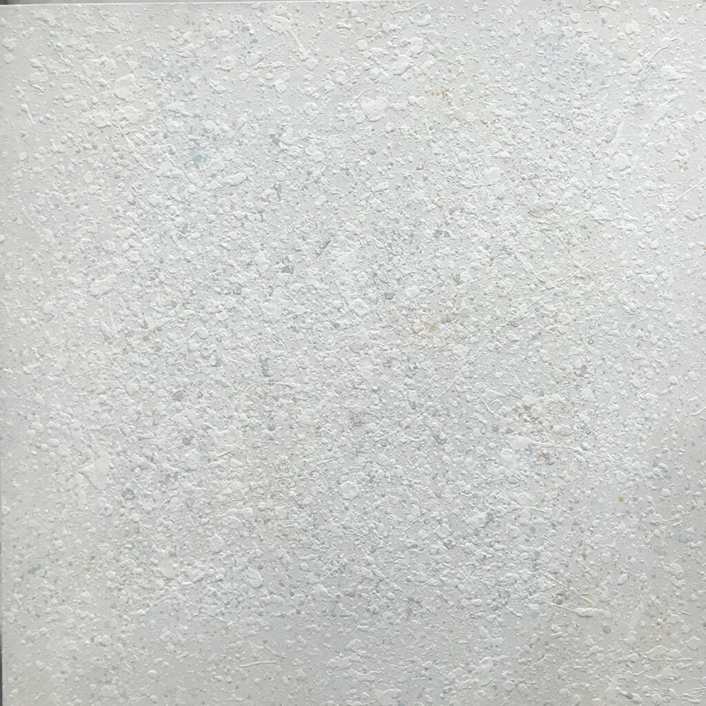 OBRA CONSTELACIÓN