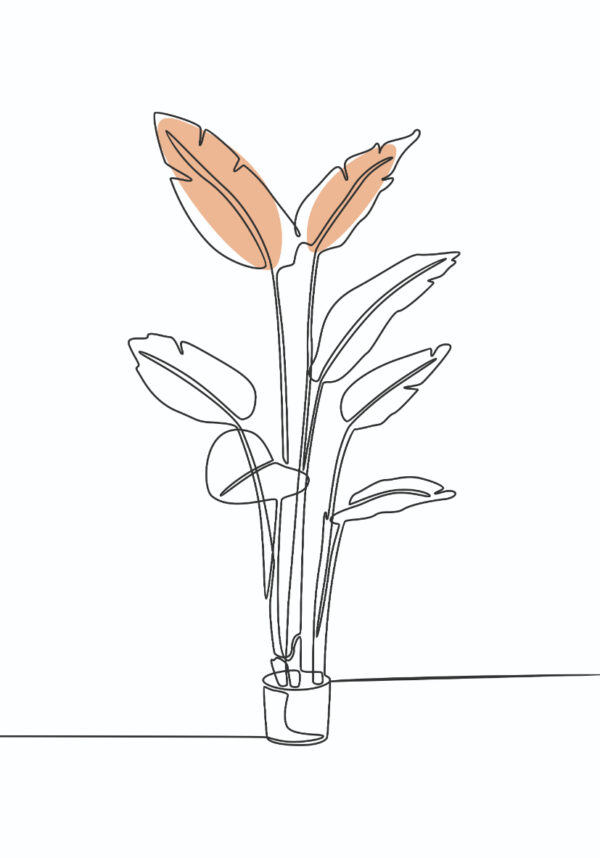 Minimalistisches botanisches Liniendesign