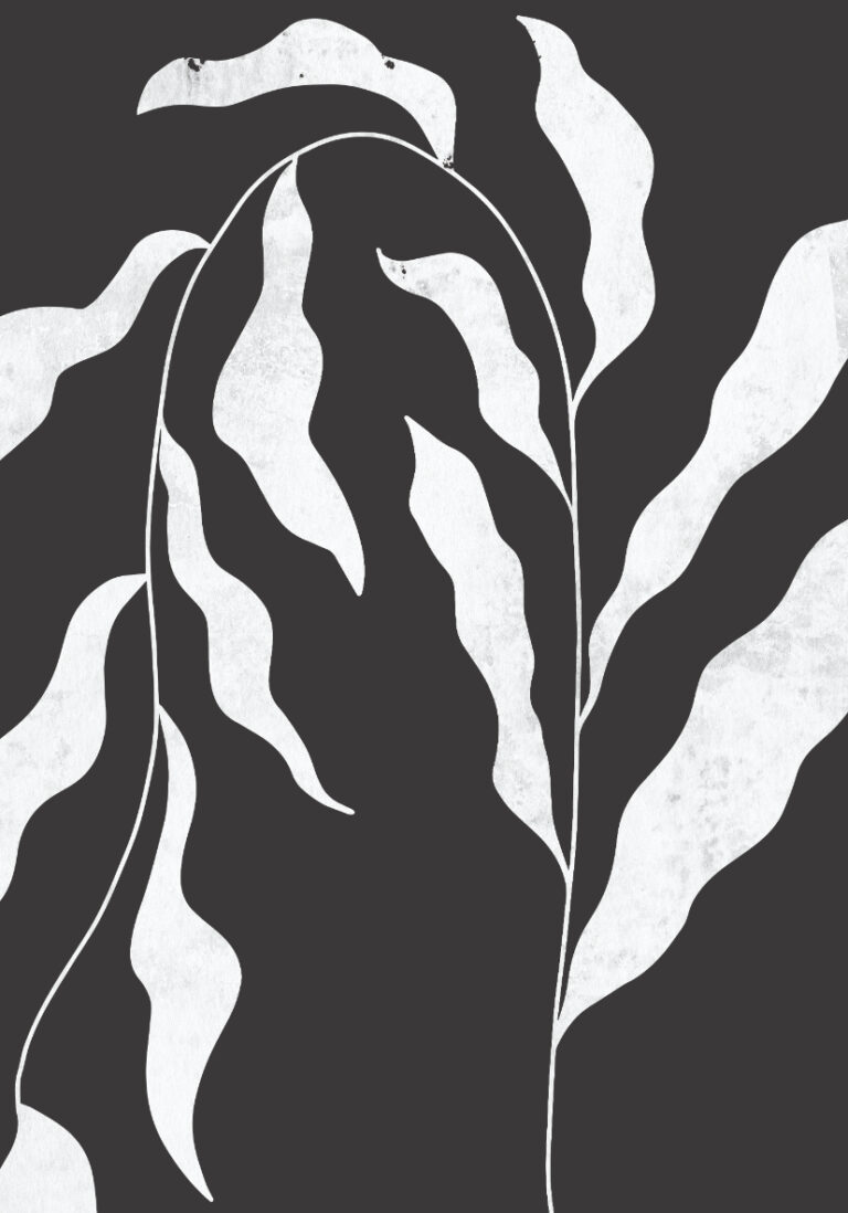 Monochrome botanische Illustration