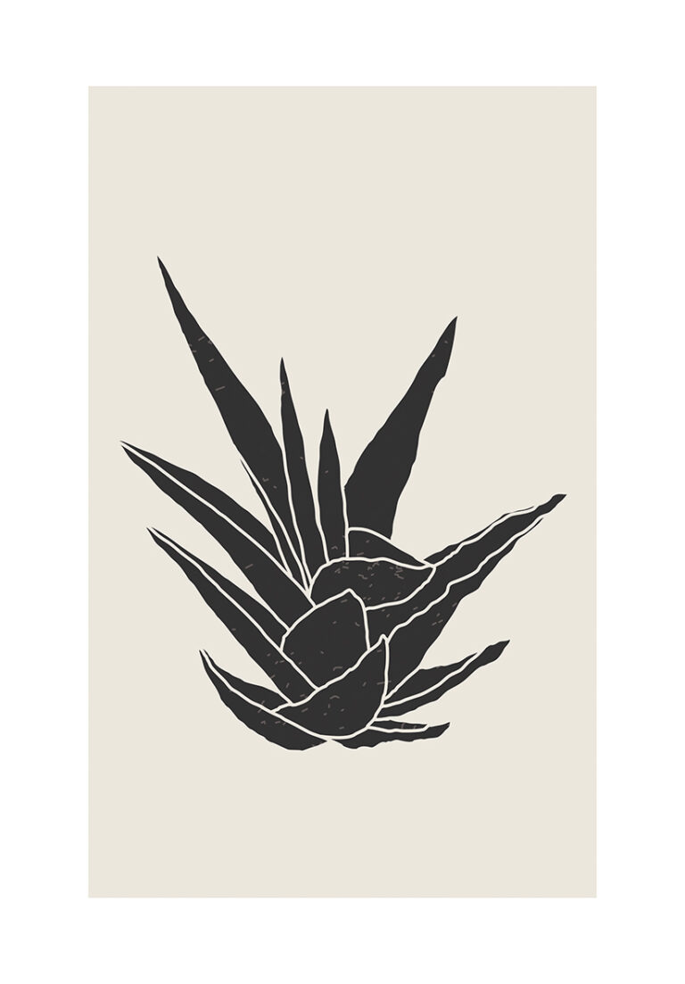Minimalistische Illustration einer Aloe vera in Schwarz