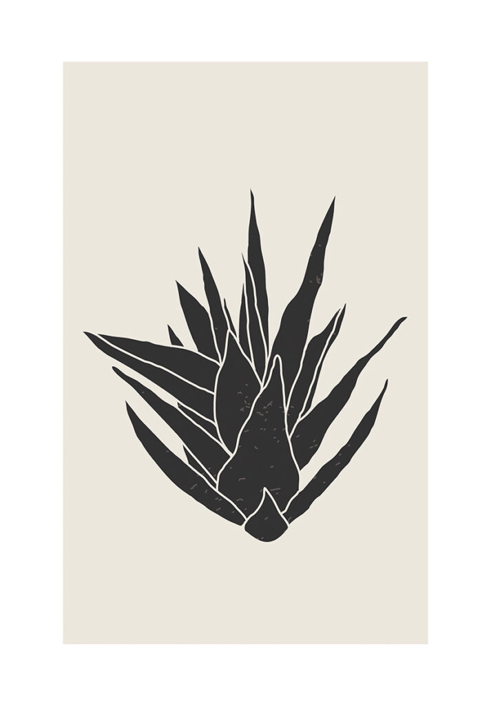 ALOE 3