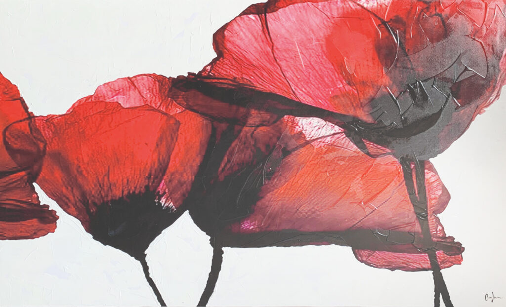 OBRA AMAPOLA