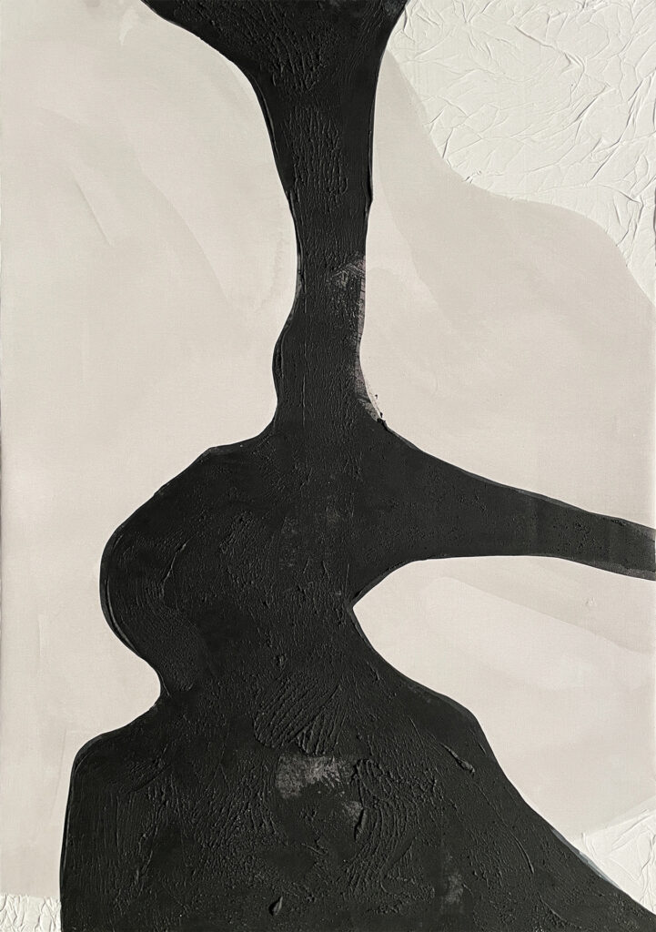OBRA LAPP 5