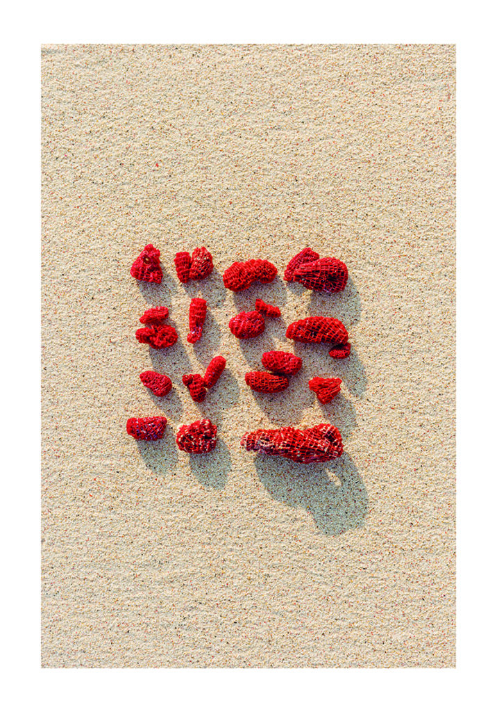 RED LOVE 3