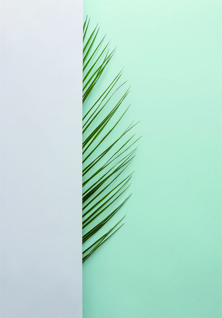 COSTERO 1