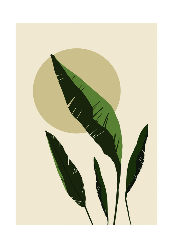 HERBS 1