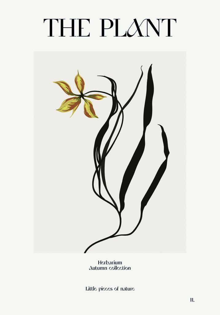THE PLANT 1