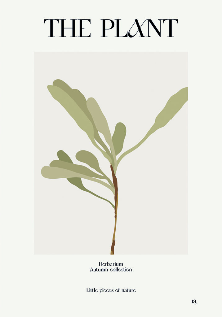 THE PLANT 3